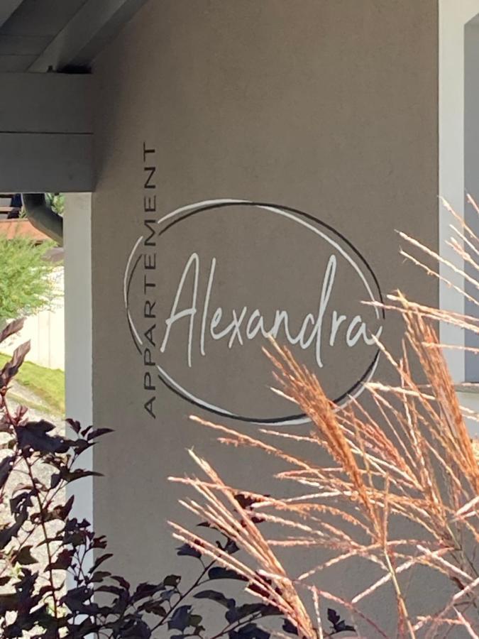 Appartement Alexandra Neukirchen am Großvenediger Eksteriør bilde