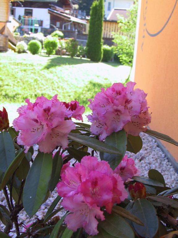 Appartement Alexandra Neukirchen am Großvenediger Rom bilde